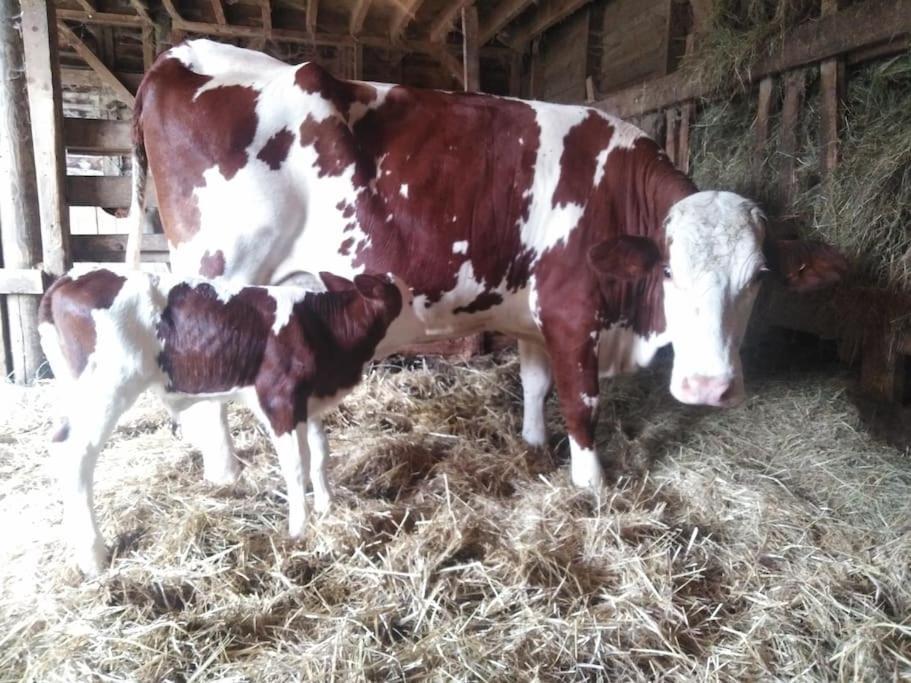 Gite A La Ferme, Avec Animaux, Fromages Et Nature Neuville-les-Decize Exterior photo